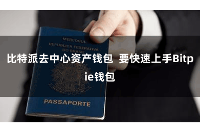 比特派去中心资产钱包 要快速上手Bitpie钱包