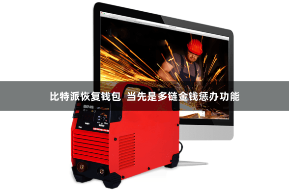 比特派恢复钱包 当先是多链金钱惩办功能