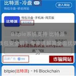 Bitpie系统支持 比特派钱包安全吗？专家详解其全面优势