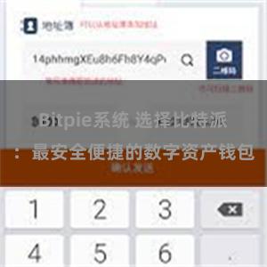 Bitpie系统 选择比特派：最安全便捷的数字资产钱包