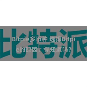 Bitpie多币种 选择Bitpie的原因，你知道吗？