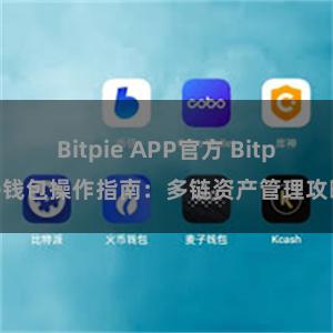 Bitpie APP官方 Bitpie钱包操作指南：多链资产管理攻略