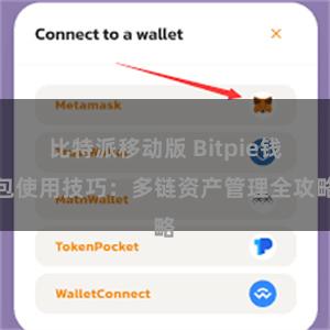 比特派移动版 Bitpie钱包使用技巧：多链资产管理全攻略