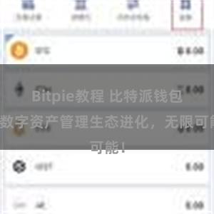 Bitpie教程 比特派钱包：数字资产管理生态进化，无限可能！