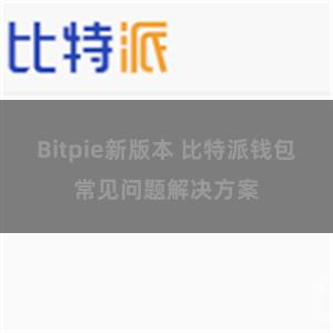 Bitpie新版本 比特派钱包常见问题解决方案