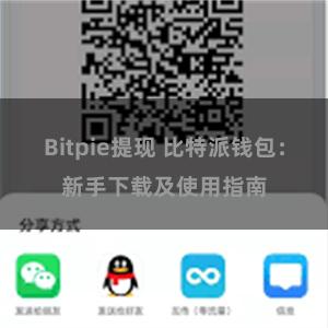 Bitpie提现 比特派钱包：新手下载及使用指南