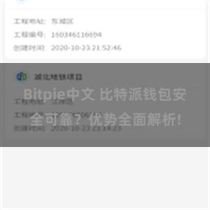 Bitpie中文 比特派钱包安全可靠？优势全面解析!