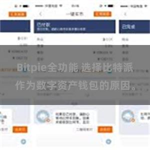 Bitpie全功能 选择比特派作为数字资产钱包的原因。