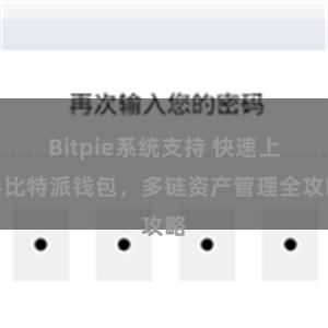 Bitpie系统支持 快速上手比特派钱包，多链资产管理全攻略