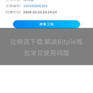 比特派下载 解决Bitpie钱包常见使用问题