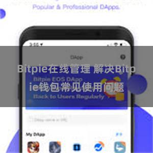 Bitpie在线管理 解决Bitpie钱包常见使用问题