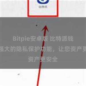 Bitpie安卓版 比特派钱包：强大的隐私保护功能，让您资产更安全