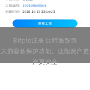 Bitpie注册 比特派钱包：强大的隐私保护功能，让您资产更安全