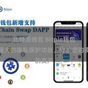 比特派钱包 Bitpie钱包：强大的隐私保护功能，守护您的资产