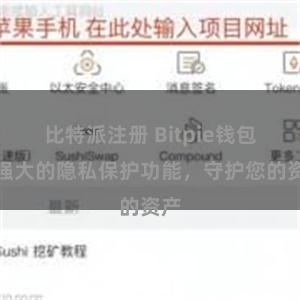 比特派注册 Bitpie钱包：强大的隐私保护功能，守护您的资产