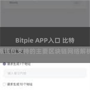 Bitpie APP入口 比特派钱包支持的主要区块链网络解析