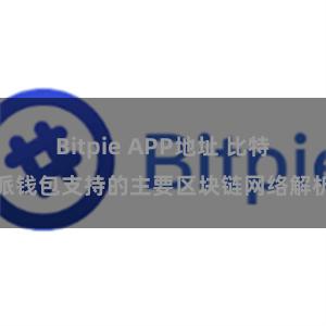 Bitpie APP地址 比特派钱包支持的主要区块链网络解析