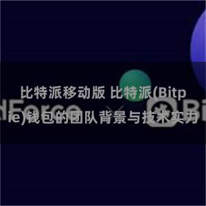 比特派移动版 比特派(Bitpie)钱包的团队背景与技术实力