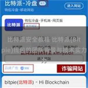 比特派安全教程 比特派(Bitpie)钱包的团队背景与技术实力