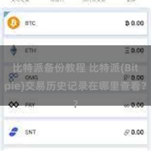 比特派备份教程 比特派(Bitpie)交易历史记录在哪里查看？