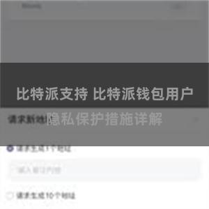 比特派支持 比特派钱包用户隐私保护措施详解