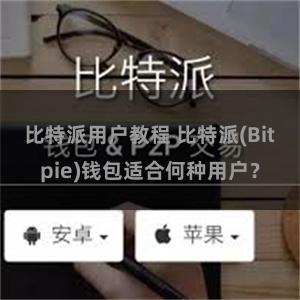 比特派用户教程 比特派(Bitpie)钱包适合何种用户？