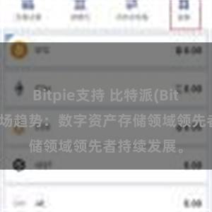 Bitpie支持 比特派(Bitpie)钱包市场趋势：数字资产存储领域领先者持续发展。