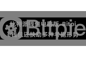 比特派钱包电脑版  Bitpie钱包还扶助多种考据形势