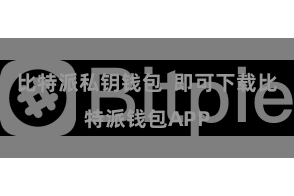 比特派私钥钱包  即可下载比特派钱包APP