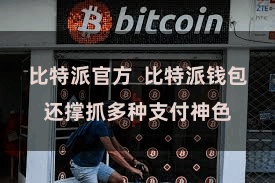 比特派官方  比特派钱包还撑抓多种支付神色
