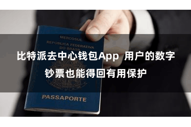 比特派去中心钱包App  用户的数字钞票也能得回有用保护